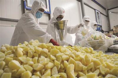 克东县 深加工赋能农业，食品产业迈向新高度